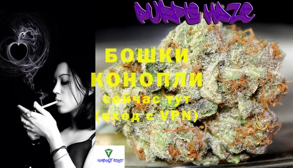 индика Балабаново