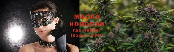 индика Балабаново