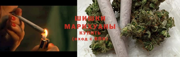 индика Балабаново