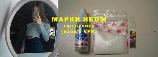 индика Балабаново