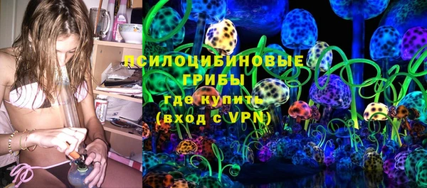 индика Балабаново