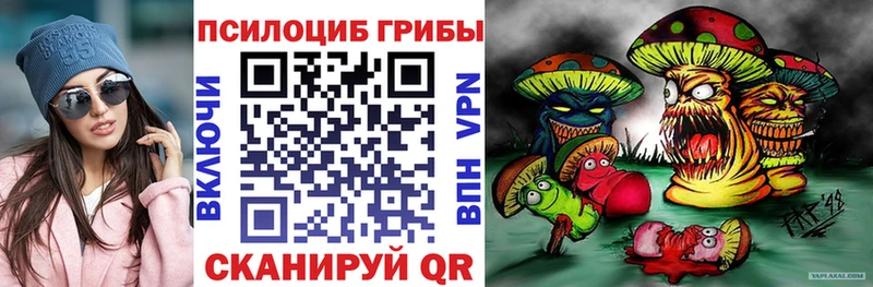 Псилоцибиновые грибы прущие грибы  где купить наркоту  Черепаново 
